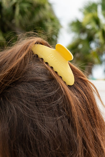 Claw Clip