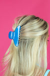 Claw Clip