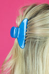 Claw Clip